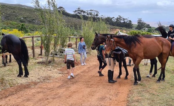 Horse riding