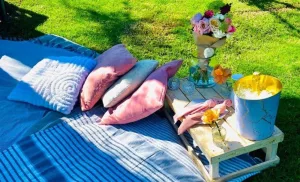 picnic