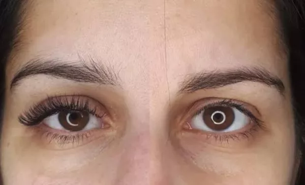 hybrid lashes