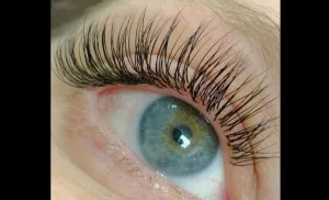 hybrid lashes