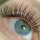 hybrid lashes