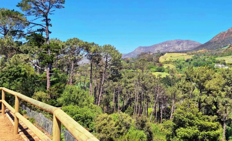 Get Away to a Luxury Estate on the Cape Wine Route