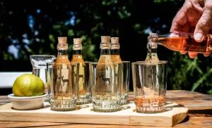 An Infused Craft Gin Tasting at The Gin Yard in Tulbagh