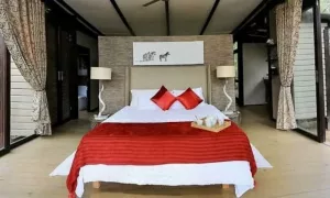 Bush lodge