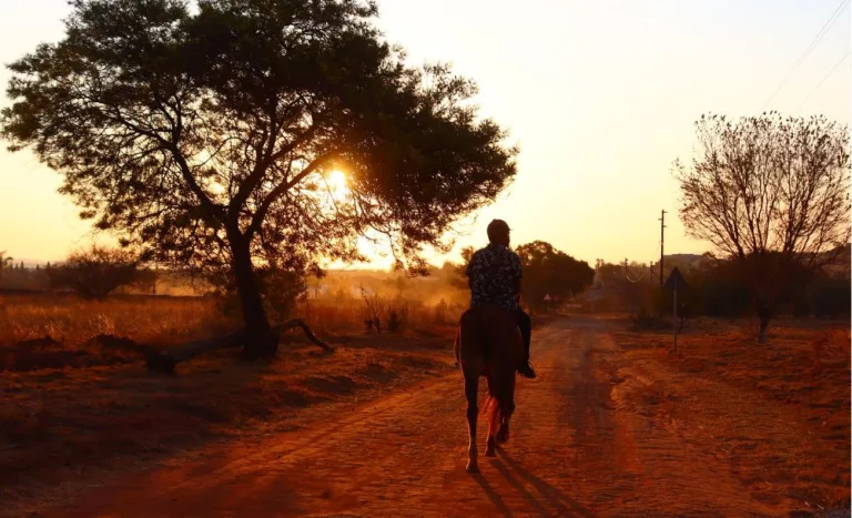 A Horse Riding Experience for One