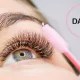 lashes