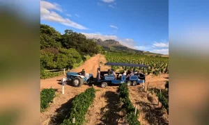 wine tour