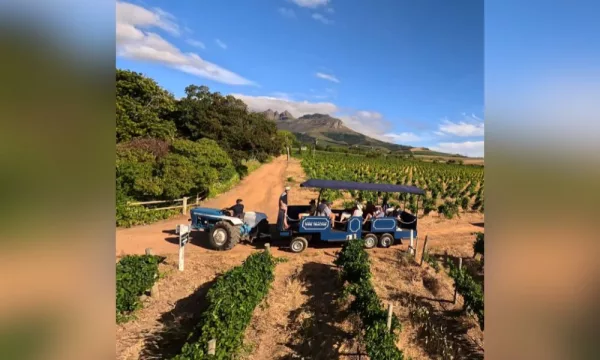wine tour