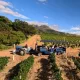 wine tour