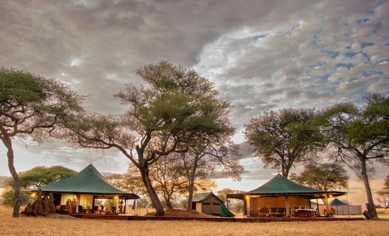 Luxury 2-Night Safari Stay for Two at Honeyguide Conservation Lodge