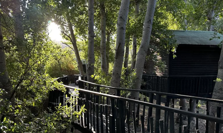 Unplug, Unwind, Reconnect — A 2-Night Weekend Escape For Two