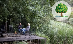 treetop getaway