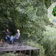 treetop getaway