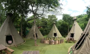 1-night stay