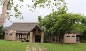 Nkonyeni