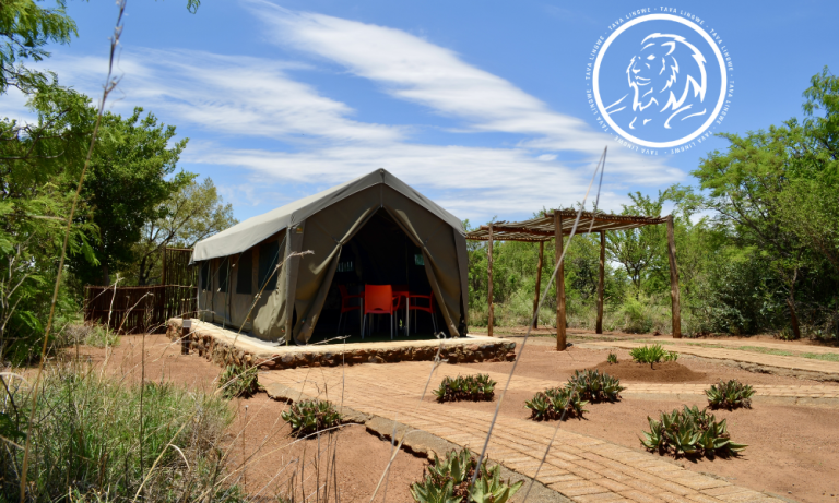 Nature-Inspired Glamping Experience for up to 4 people