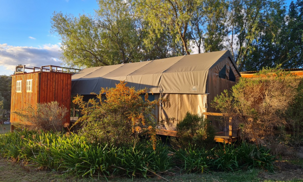 Tilapia Lodge (3)