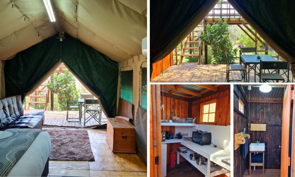 Tilapia Lodge (4)