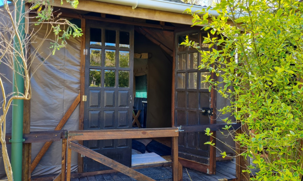Tilapia Lodge (6)