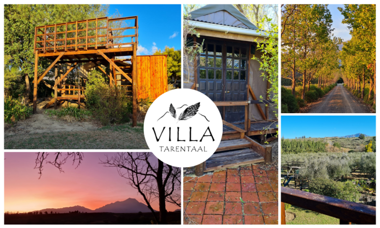 Luxury Tent Stay for 4: 2 Nights of Glamping at Tilapia Lodge with Private Deck & Braai