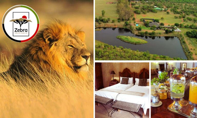 Overnight Escape at Zebra Nature Reserve