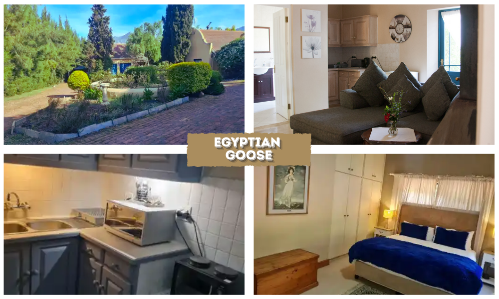 Villa Tarentaal Luxury Suites & Cottages (2)