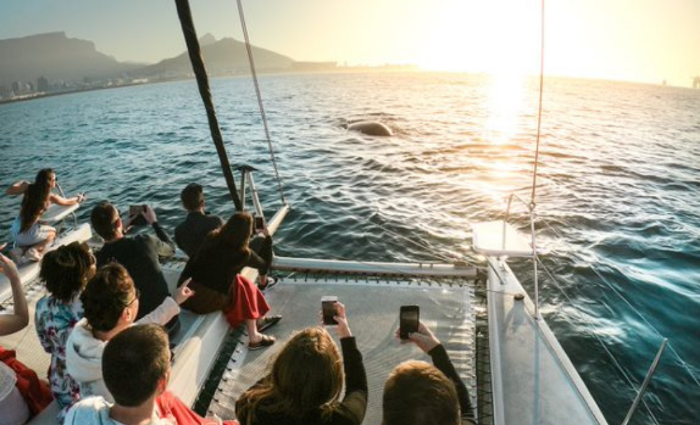 waterfront charters (2)