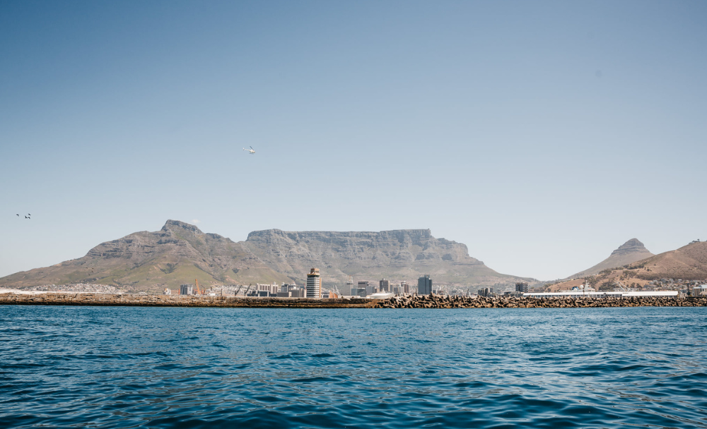 waterfront charters (6)