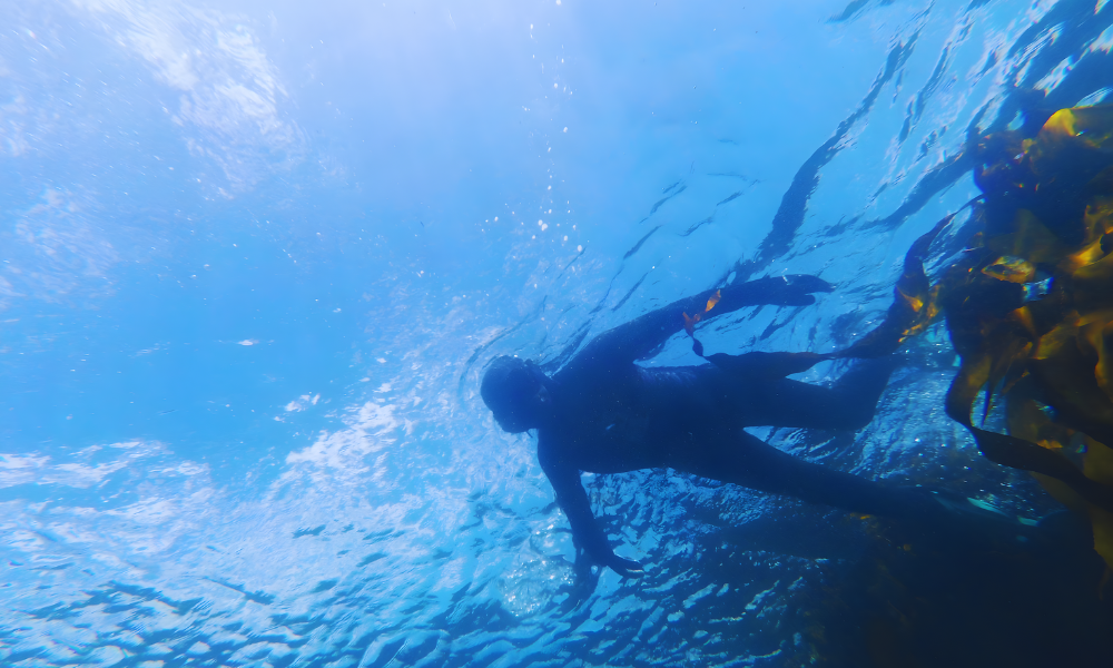 African Ocean Adventures