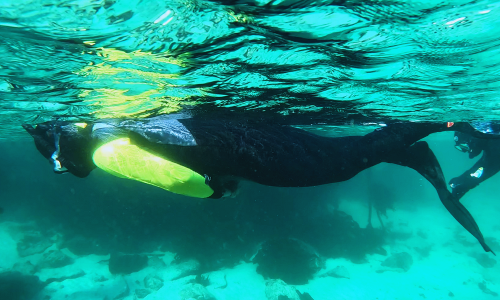 African Ocean Adventures (2)