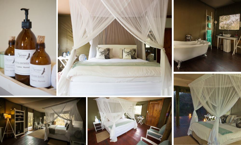 NGAMA TENTED SAFARI LODGE (6)