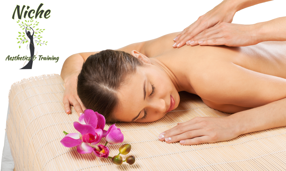 Niche Aesthetics Elements