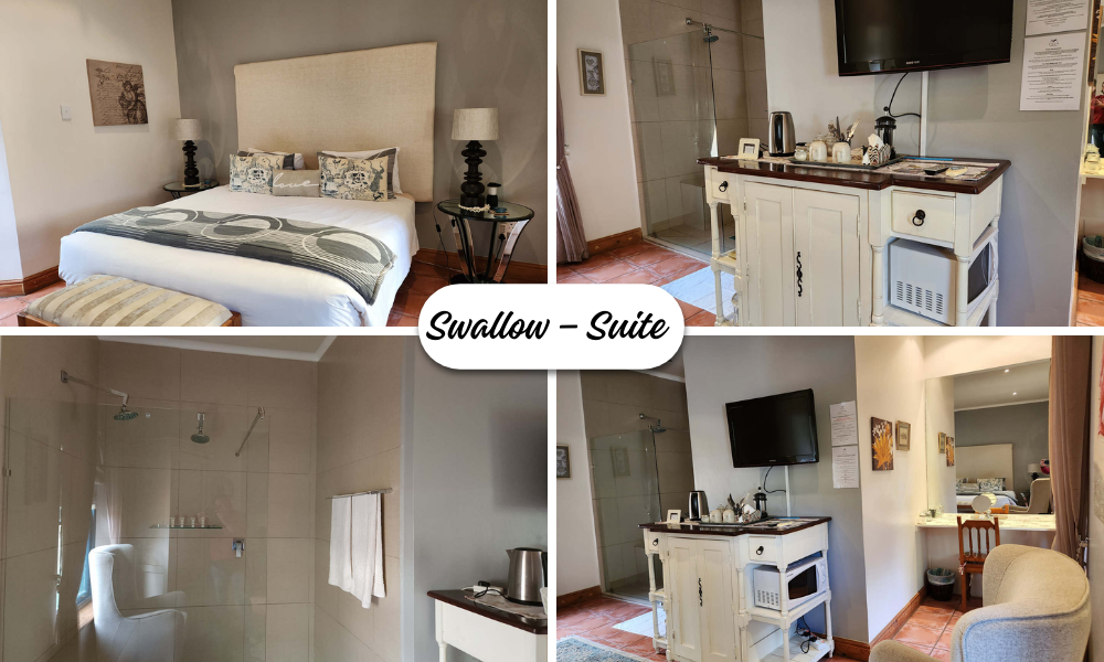 Swallow – Suite (2)