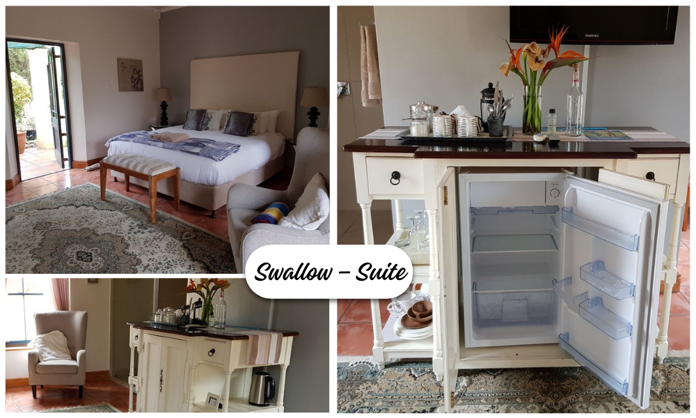 Swallow – Suite (3)