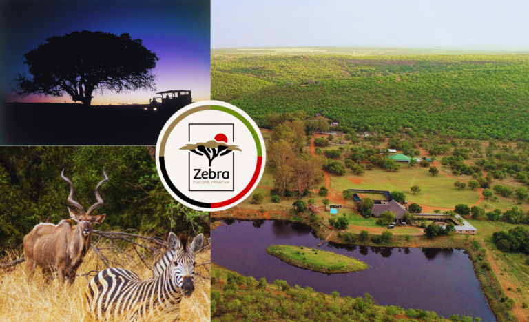 Overnight Escape at Zebra Nature Reserve