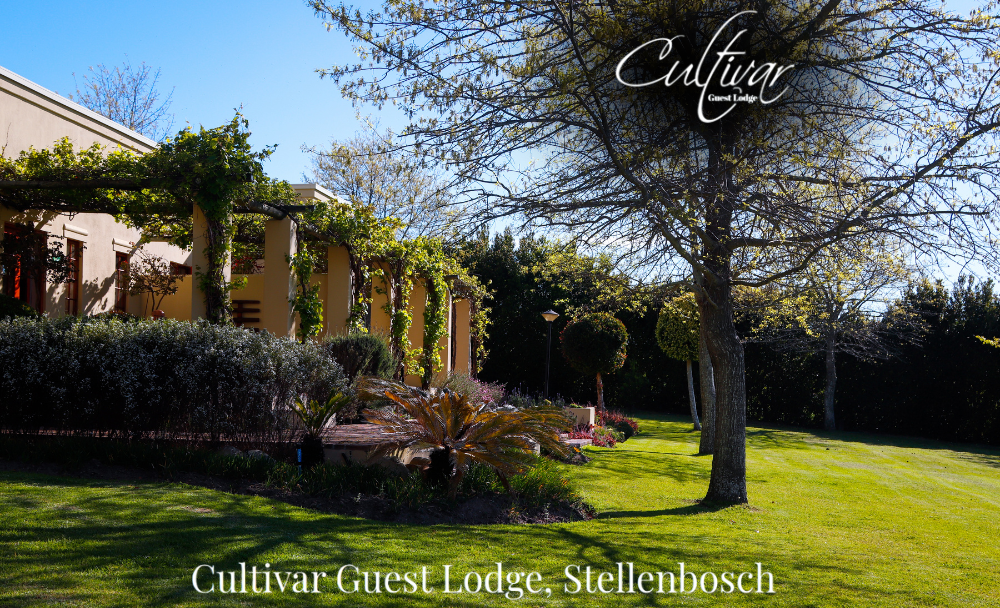 Cultivar Guest Lodge