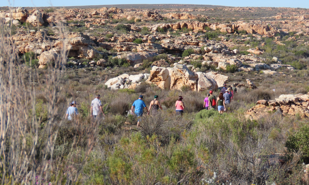 KAGGA KAMMA ECO LODGE & SPA (9)