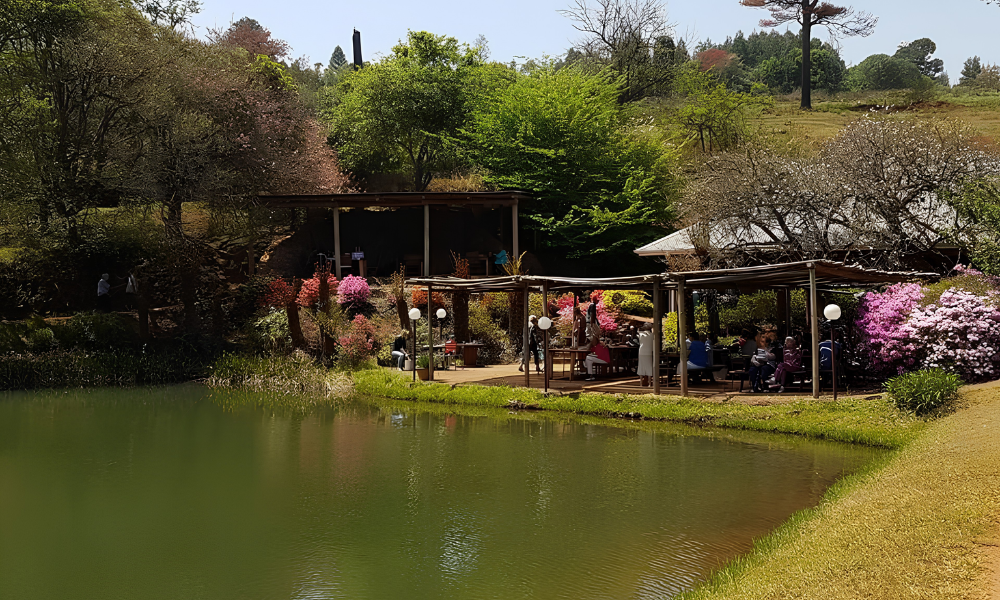 SHERWOOD'S COUNTRY HOUSE (4)
