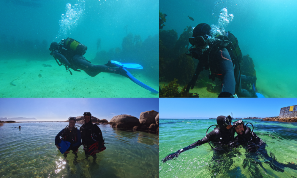 African Ocean Adventures (5)