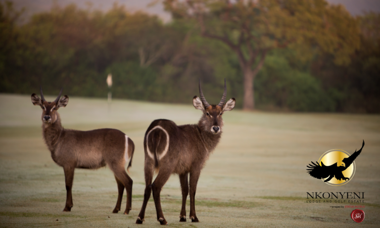 2 Nights Romance Getaway for 2 at Nkonyeni Lodge